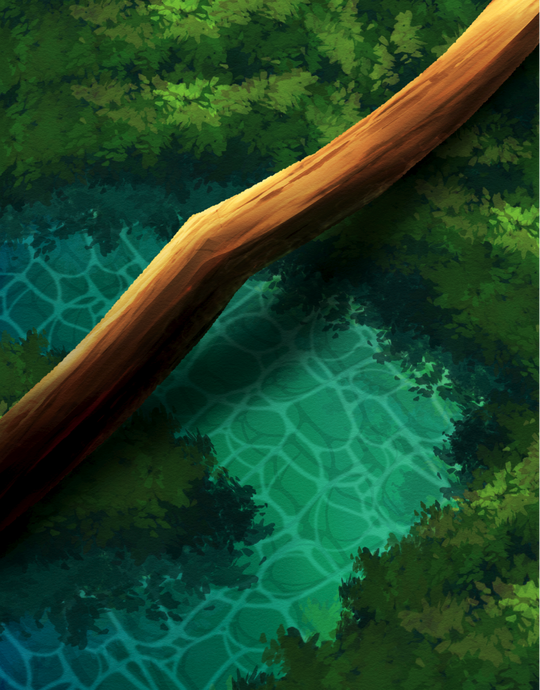 Small River in The Forest